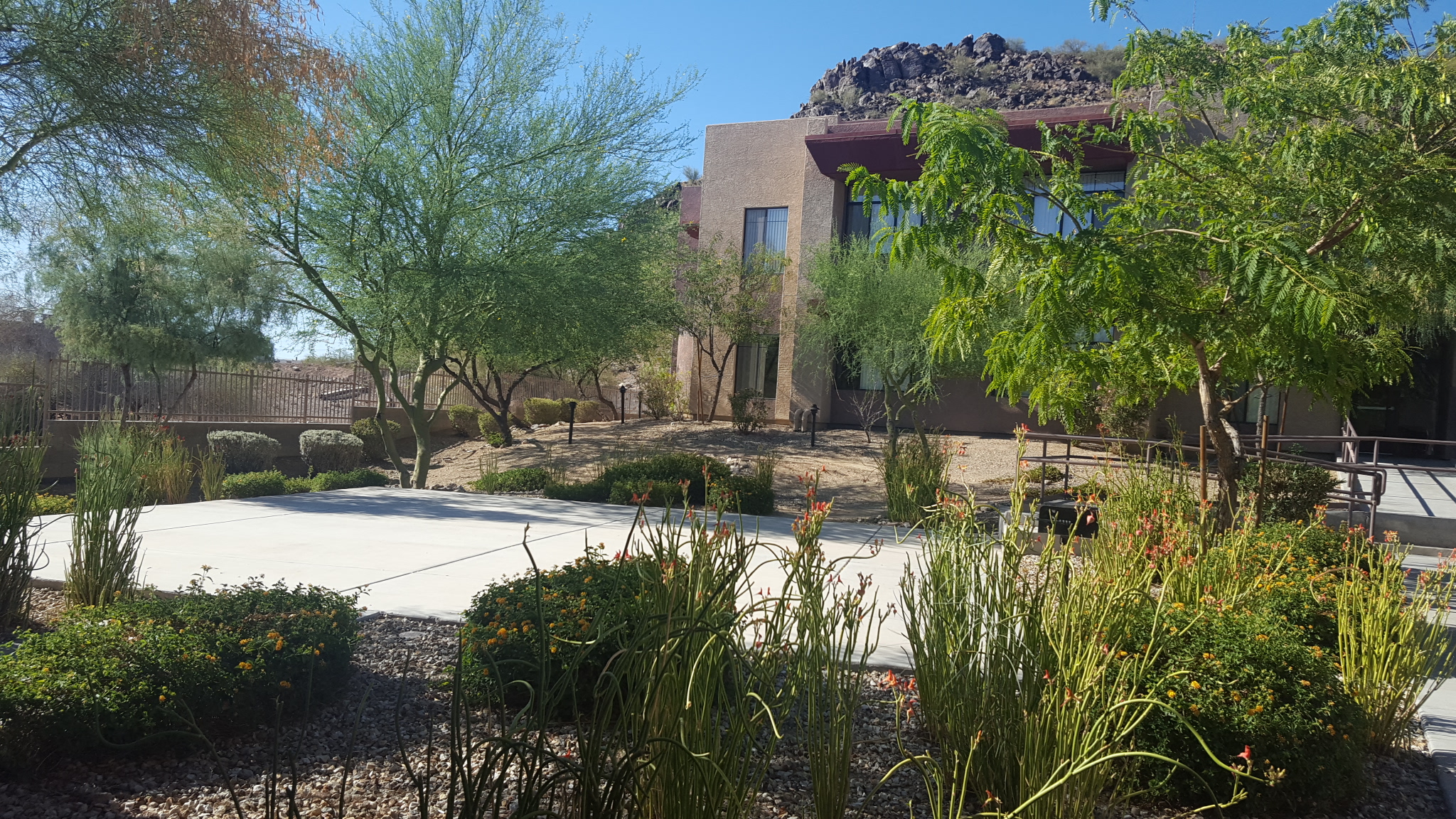 a courtyard with plants and a building in the background
